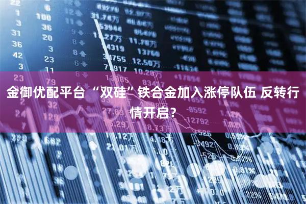 金御优配平台 “双硅”铁合金加入涨停队伍 反转行情开启？