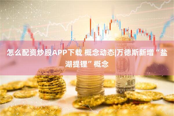 怎么配资炒股APP下载 概念动态|万德斯新增“盐湖提锂”概念